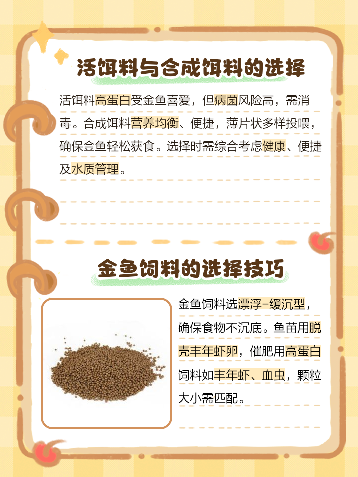 小金鱼喂什么食物最好