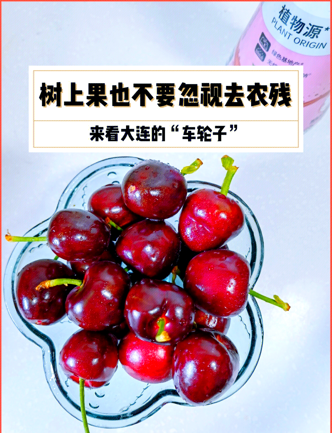 洗樱桃的正确方法